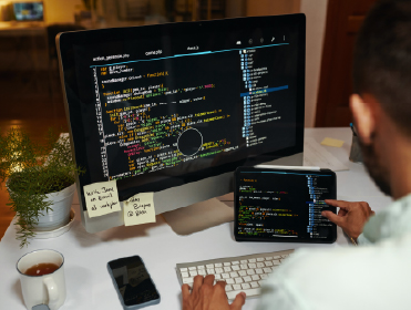 Web Development